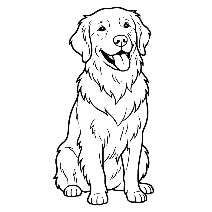 A happy Golden Retriever dog sitting and smiling with its tongue out, illustrated in a clean black and white vector line art style.