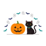 Cute black cat and jack o lantern with ghosts and bats